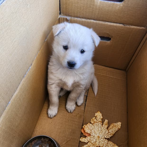 세일 마지막 날 !!!!!!!! 자정까지 만관부🫶