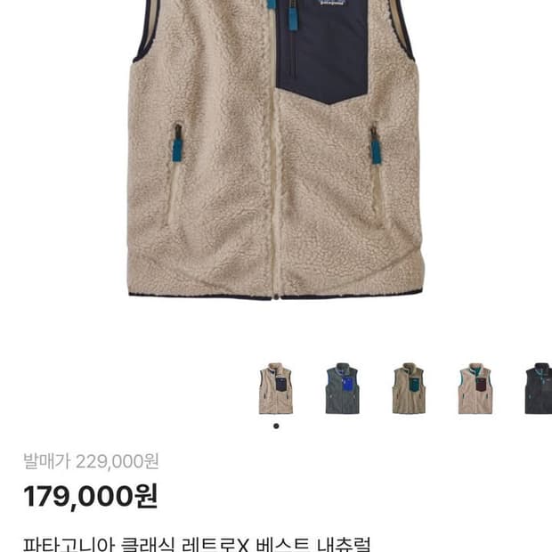 파타고니아 클래식 레트로 x 베스트