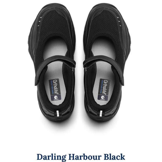 혼스비 달링하버 240