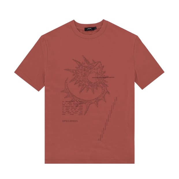 구매) Shard T-shirts - Brick Red