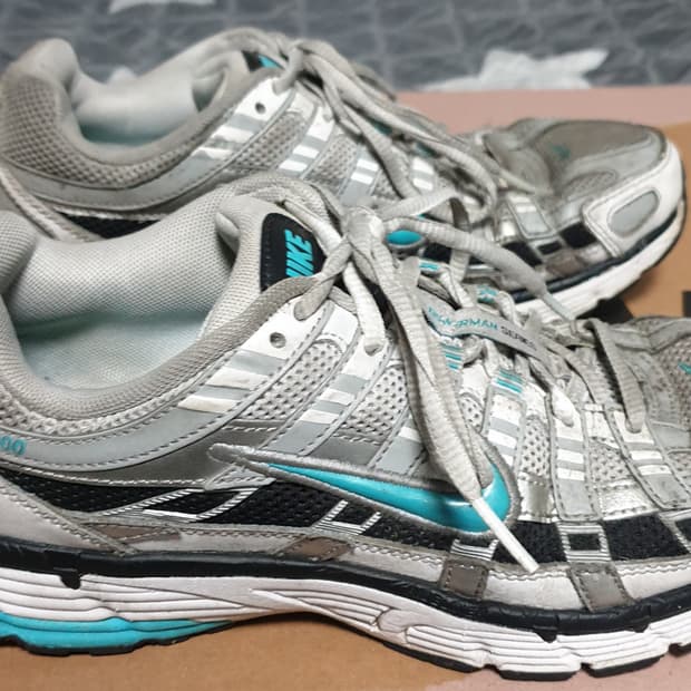 나이키 P-6000 메탈릭실버 더스티 캑터스 (250)CD6404-103