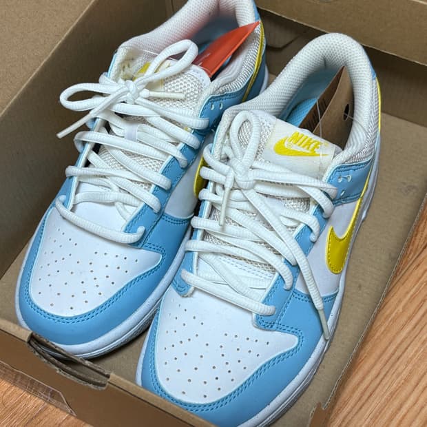 나이키 덩크로우 