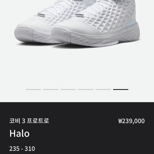 새상품 코비 3 프로트로 해일로 