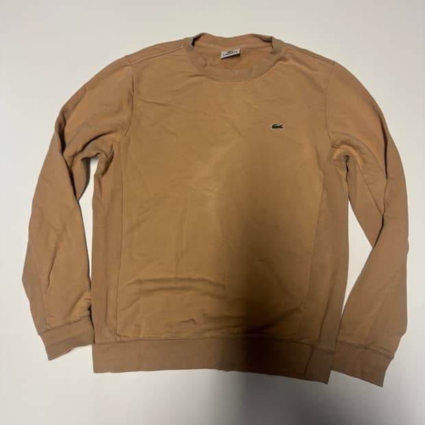 정품 라코스테 로고 트레이닝 맨투맨 L 베이지