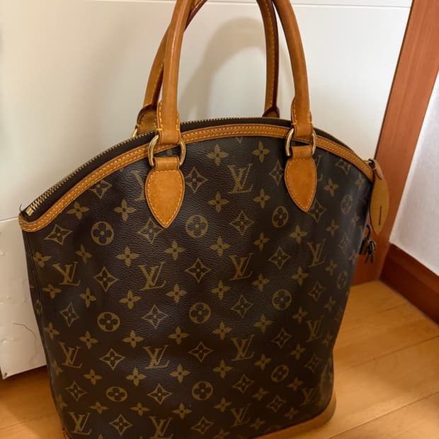 루이비통 모노그램 돔 가방