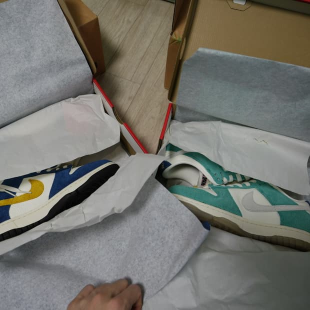 카시나 덩크 세트 255