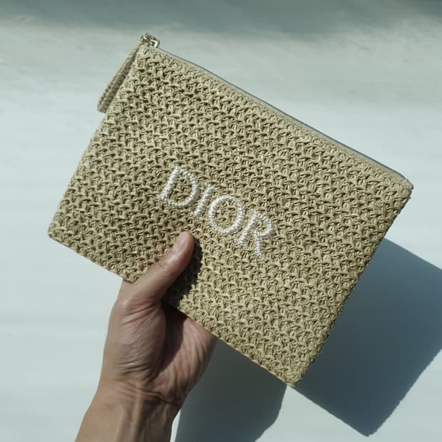Christian Dior Pouch Bag