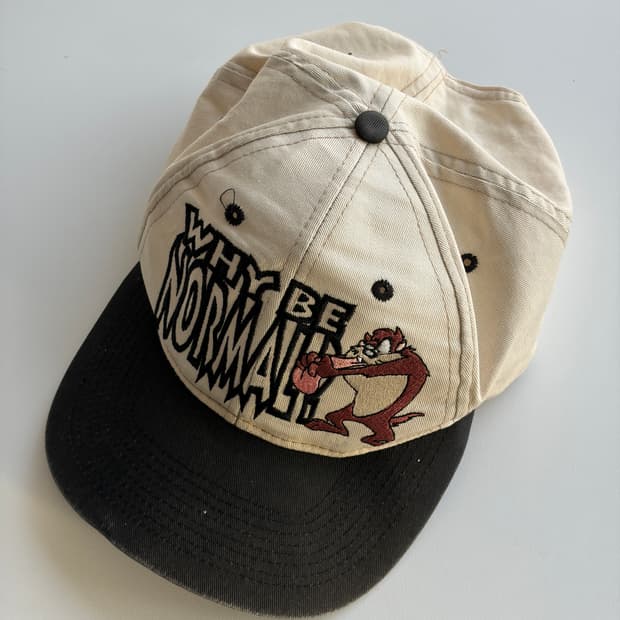 90s 아메리칸 빈티지 루니툰 태즈 스냅백