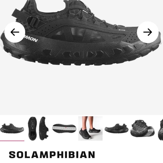 살로몬 solamphibian