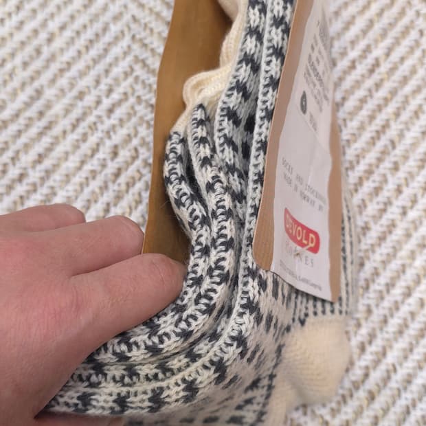 노르웨이 롱삭스