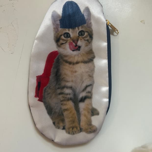 고양이 납작 파우치 