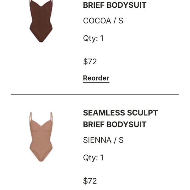 skims brief bodysuit