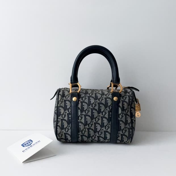 디올 오블리크 미니 보스턴백 20