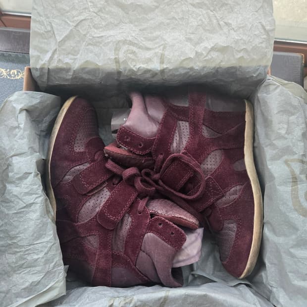 Ash 웨지 스니커즈