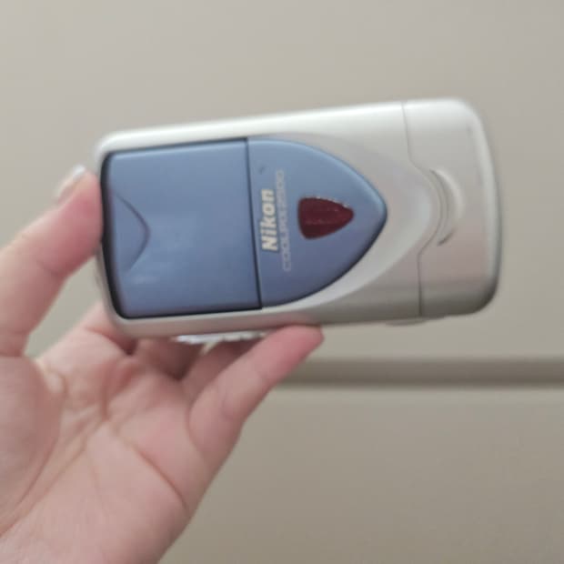 니콘 쿨픽스 2500/황조지 카메라