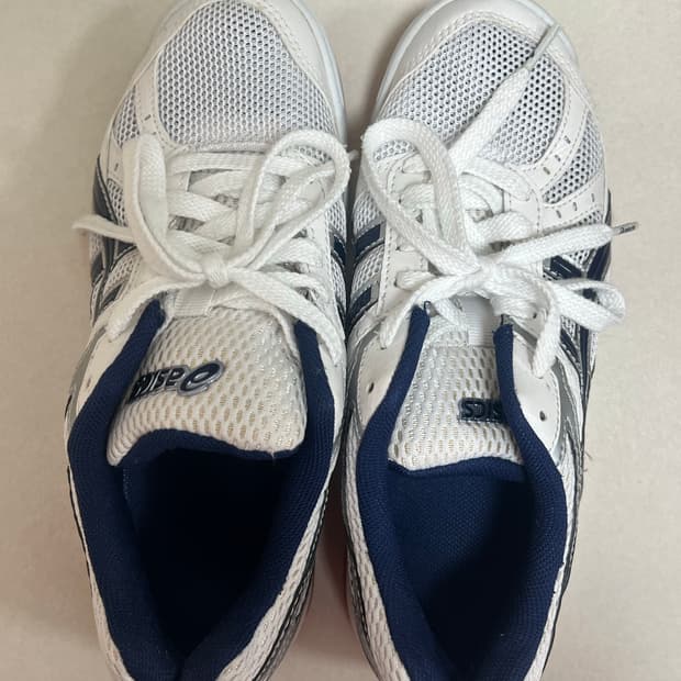 아식스 로테리브레 230