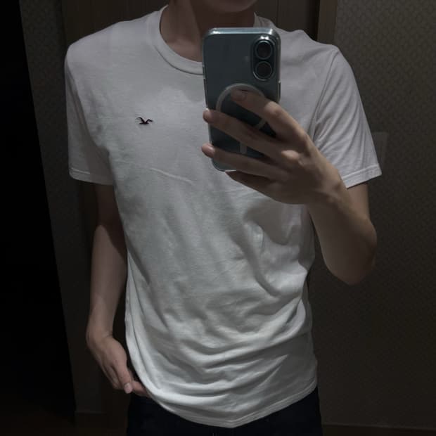 [L] 홀리스터(Hollister) 머스트해브 클래식 갈매기 자수 로고 