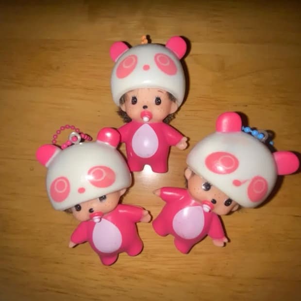 몬치치 3마리 입양하실분