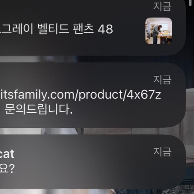 님들 잠깐만요 메세지 제발 스톱 (;;;