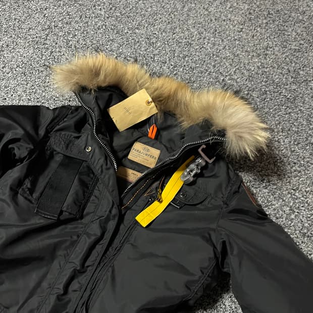 파라점퍼스 코요테