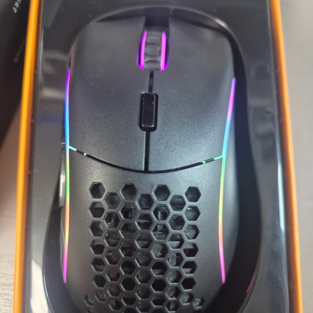 글로리어스 모델D 거의 새거