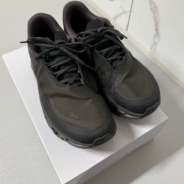 파프 온러닝 쏜 브라운