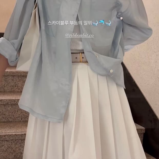 Ribbonbit Pleated Midi Skirt 리본빛 플리츠 스커트