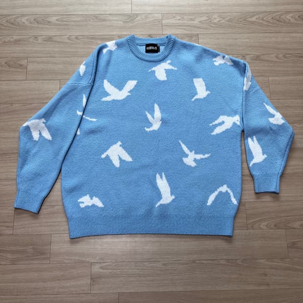 아조바이아조 Dove Oversized Sweater [Sky Blue]