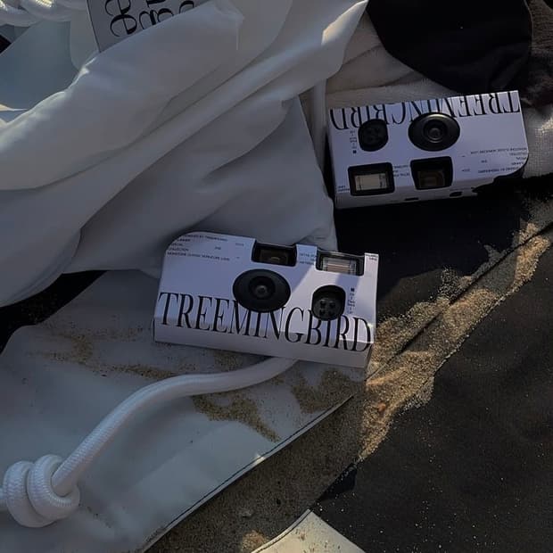 트리밍버드 필름카메라