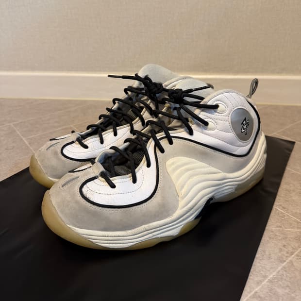 나이키 에어 페니2 포톤 더스트 