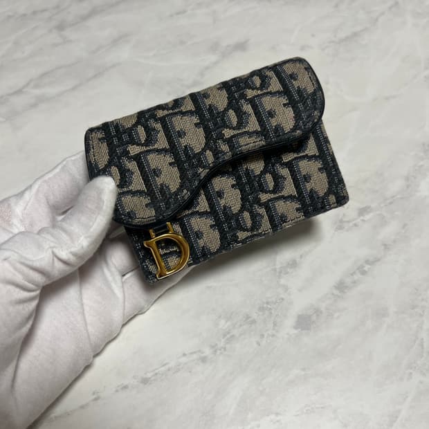 디올 오블리크 새들 카드지갑