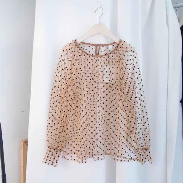 dot pattern see-through blouse