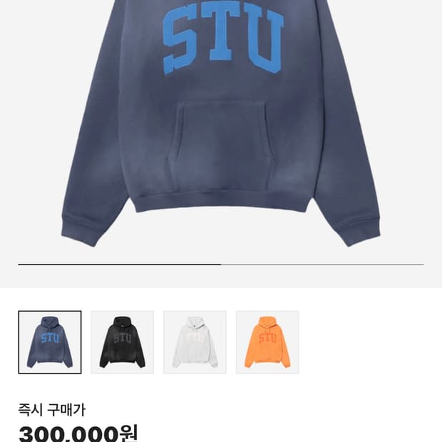 스투시 STU APPLIQUE HOODIE
