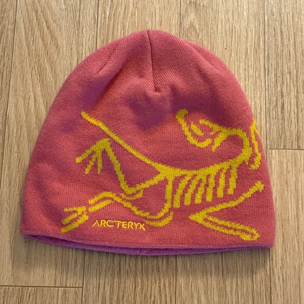 아크테릭스 비니 핑크