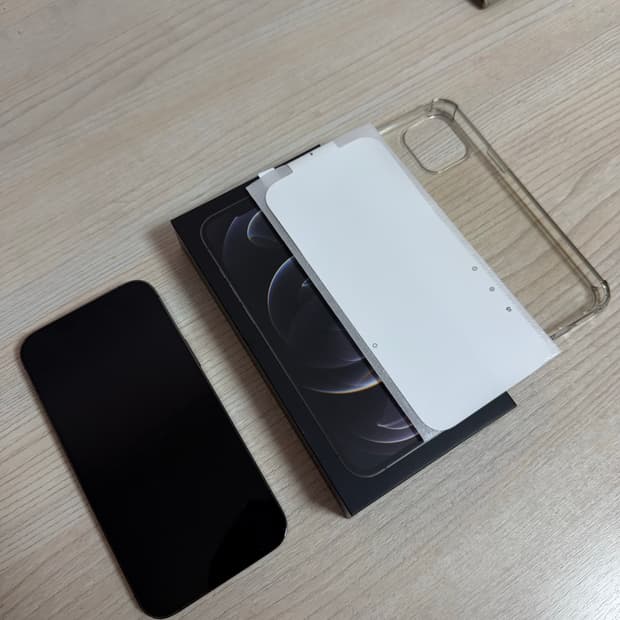 아이폰 12 pro max