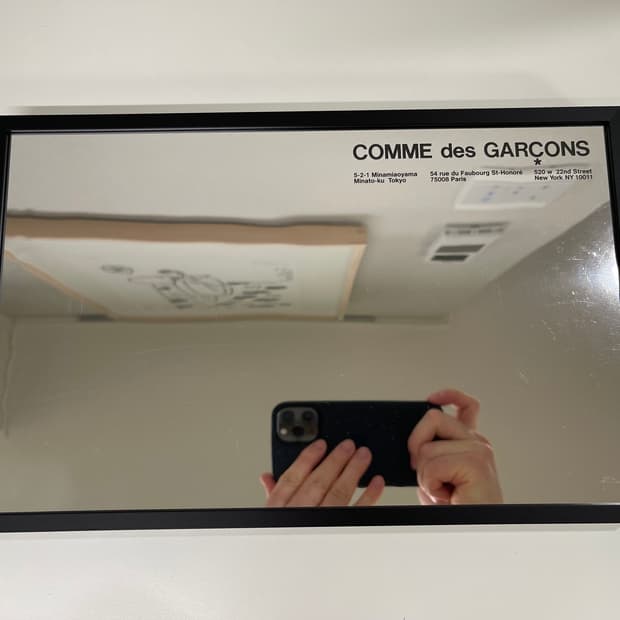 꼼데가르송 COMME des GARCONS 아트 포토 AD2010