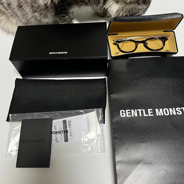 젠틀몬스터 에디01