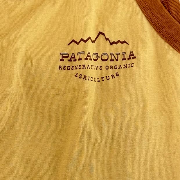 파타고니아 슬리브리스 단2회 착용 🧡
