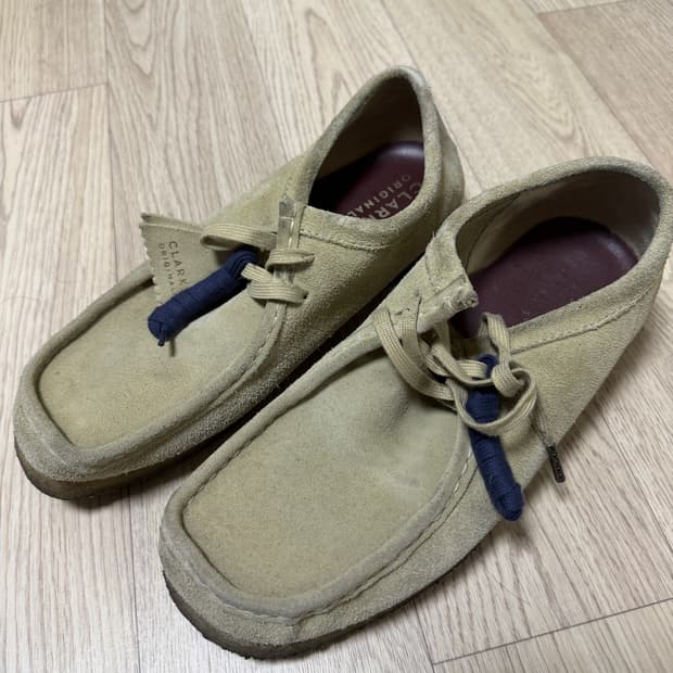 [265] 클락스 왈라비 