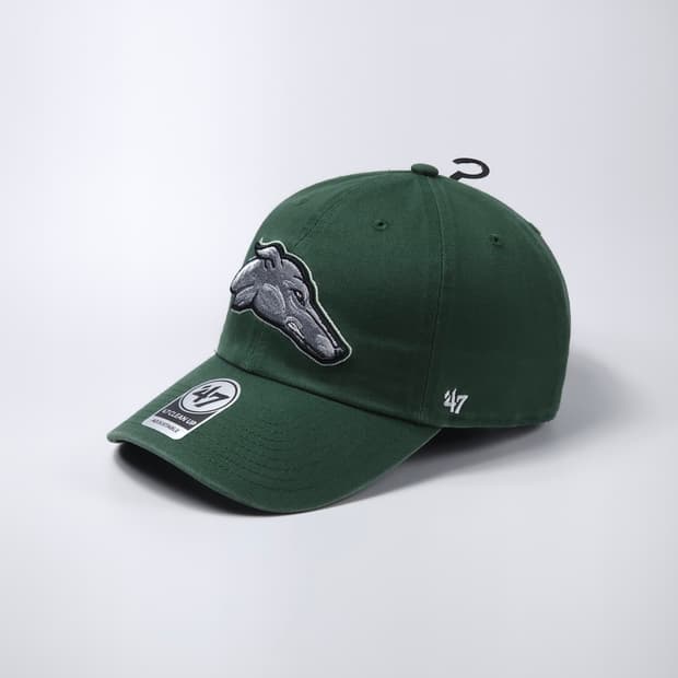 47 NCAA 이스턴 뉴 멕시코 그레이하운드 볼캡 모자