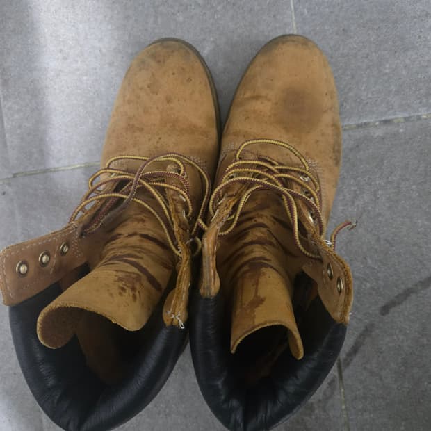 팀버랜드 프리미엄 6인치 255