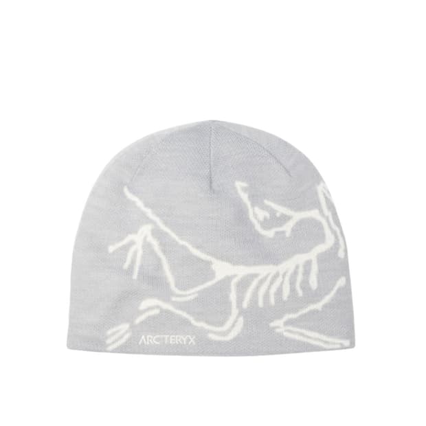 아크테릭스 버드 헤드 토크 솔리튜드 아크틱 실버