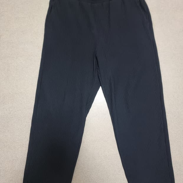 폴햄 플리츠 팬츠 옴므플리세 플리세 이세이미야캐