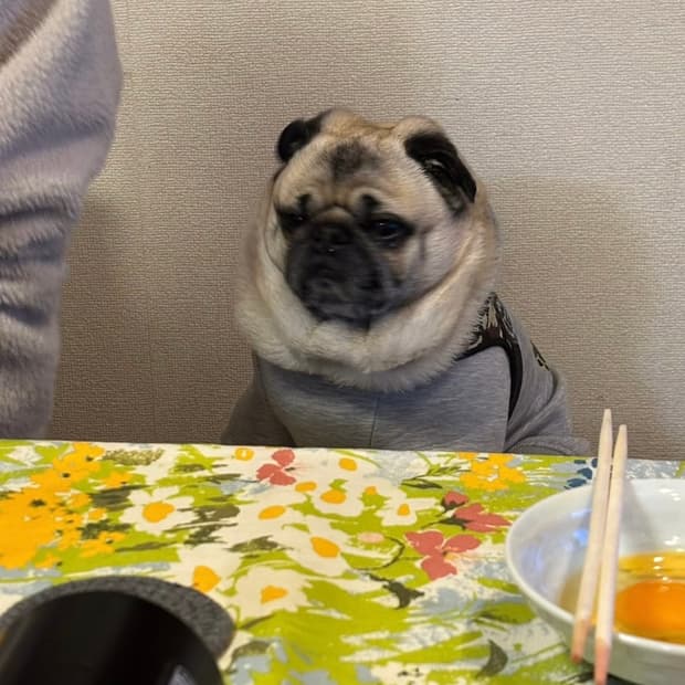 흐타ㅗ타ㅗ토차파파ㅠㅏ팦