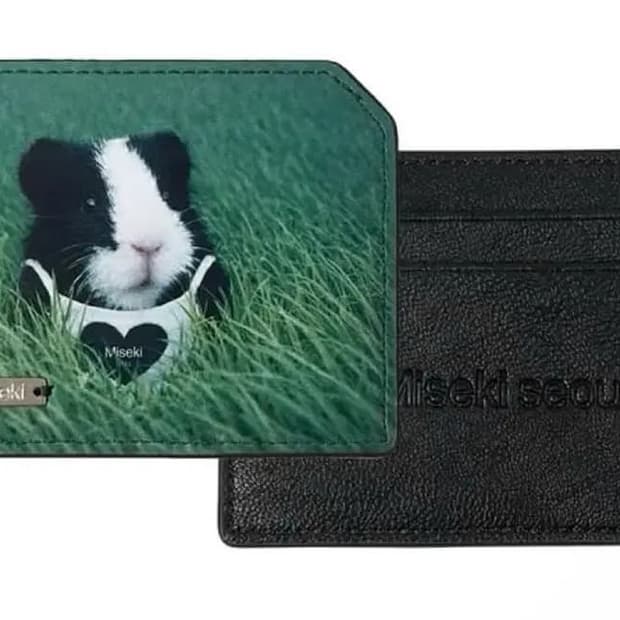 미세키 서울 레이 팝업 기니 카드지갑