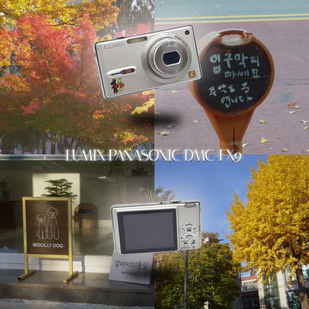 작례⭕️ 파나소닉 루믹스 DMC-FX9