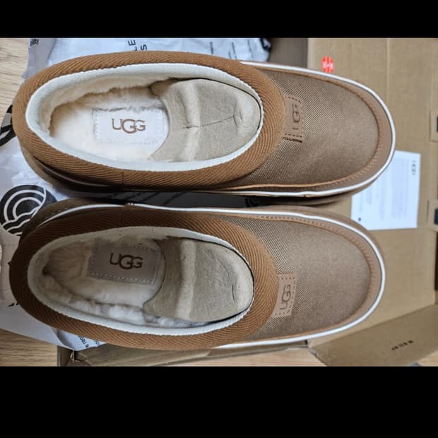 어그 타스만 칼리 웨이브