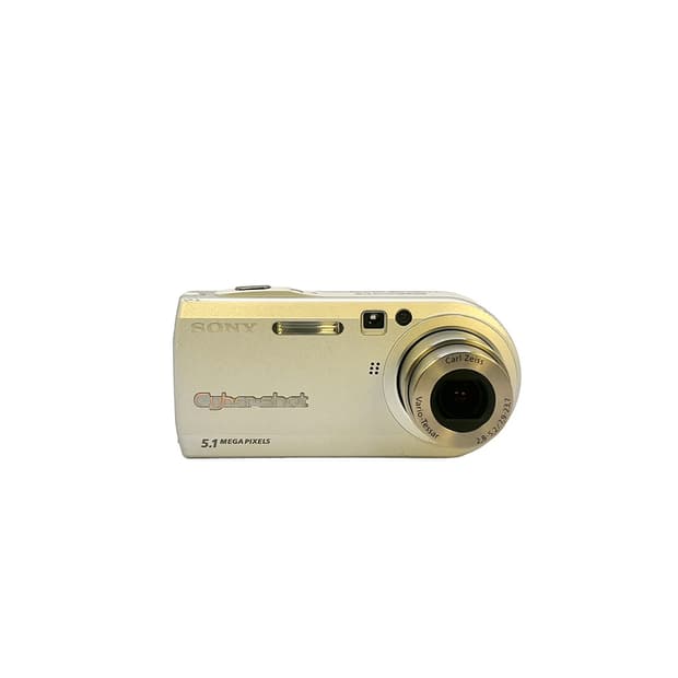 Sony CyberShot DSC-P100디카