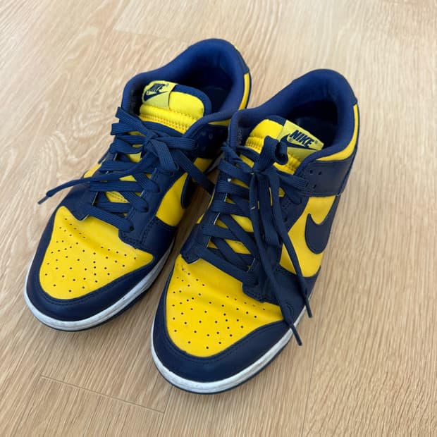 나이키 덩크 바시티 메이즈