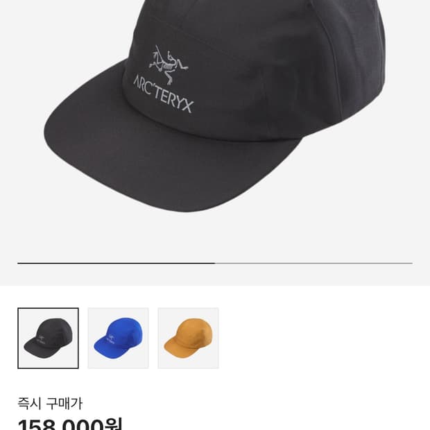 아크테릭스 고어5 패널 캡
